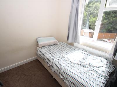 Picture 12